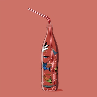 pet bottle and animals inside